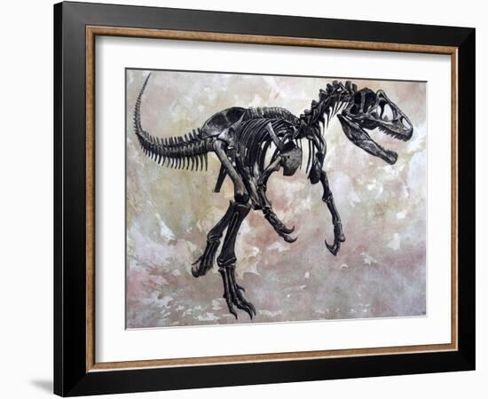 Allosaurus Dinosaur Skeleton-Stocktrek Images-Framed Art Print