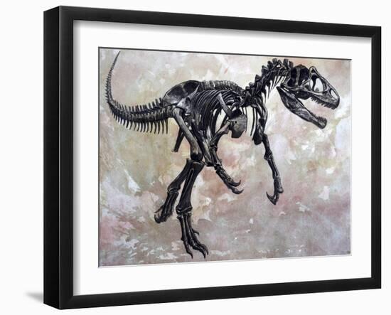 Allosaurus Dinosaur Skeleton-Stocktrek Images-Framed Art Print