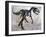 Allosaurus Dinosaur Skeleton-Stocktrek Images-Framed Art Print