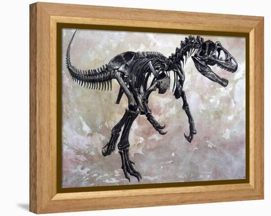 Allosaurus Dinosaur Skeleton-Stocktrek Images-Framed Stretched Canvas