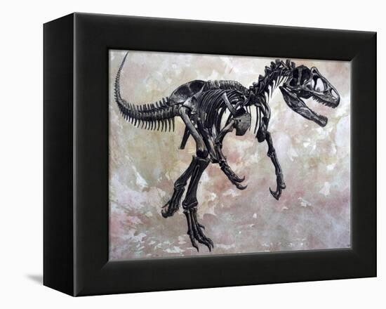 Allosaurus Dinosaur Skeleton-Stocktrek Images-Framed Stretched Canvas