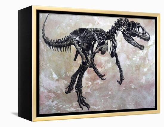 Allosaurus Dinosaur Skeleton-Stocktrek Images-Framed Stretched Canvas