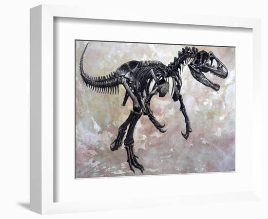 Allosaurus Dinosaur Skeleton-Stocktrek Images-Framed Art Print