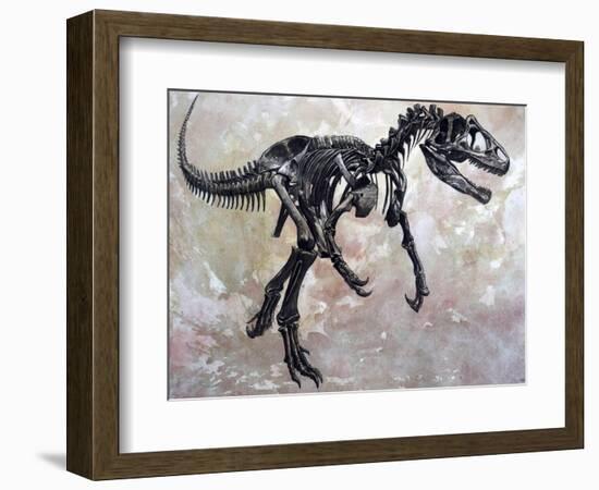 Allosaurus Dinosaur Skeleton-Stocktrek Images-Framed Premium Giclee Print