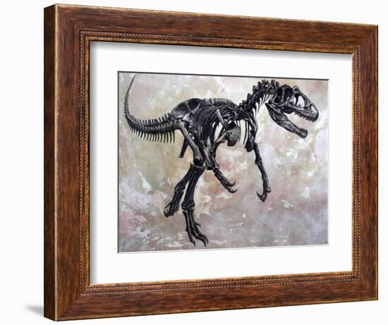 Allosaurus Dinosaur Skeleton-Stocktrek Images-Framed Premium Giclee Print