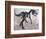 Allosaurus Dinosaur Skeleton-Stocktrek Images-Framed Premium Giclee Print