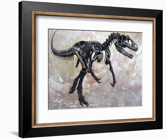 Allosaurus Dinosaur Skeleton-Stocktrek Images-Framed Premium Giclee Print