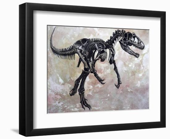 Allosaurus Dinosaur Skeleton-Stocktrek Images-Framed Premium Giclee Print