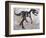 Allosaurus Dinosaur Skeleton-Stocktrek Images-Framed Premium Giclee Print