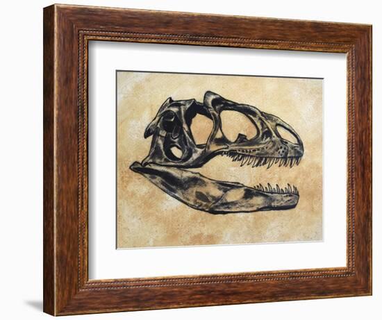 Allosaurus Dinosaur Skull-Stocktrek Images-Framed Art Print