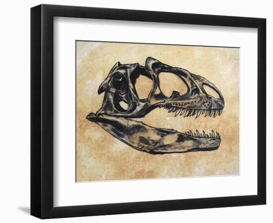 Allosaurus Dinosaur Skull-Stocktrek Images-Framed Art Print