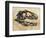 Allosaurus Dinosaur Skull-Stocktrek Images-Framed Art Print