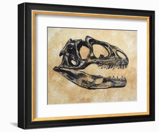 Allosaurus Dinosaur Skull-Stocktrek Images-Framed Art Print