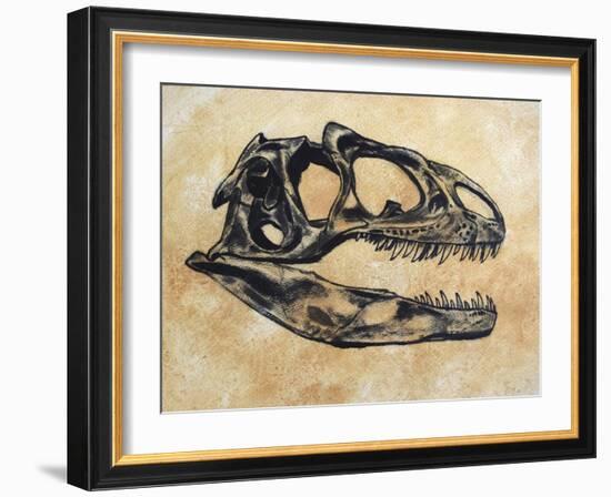 Allosaurus Dinosaur Skull-Stocktrek Images-Framed Art Print