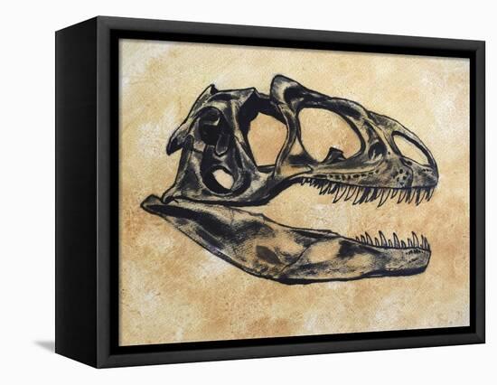 Allosaurus Dinosaur Skull-Stocktrek Images-Framed Stretched Canvas