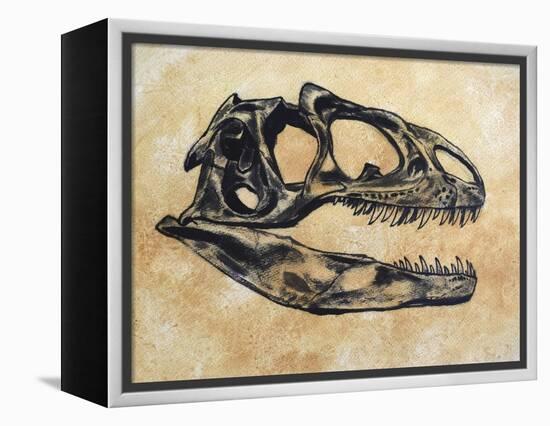 Allosaurus Dinosaur Skull-Stocktrek Images-Framed Stretched Canvas