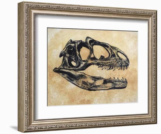Allosaurus Dinosaur Skull-Stocktrek Images-Framed Premium Giclee Print