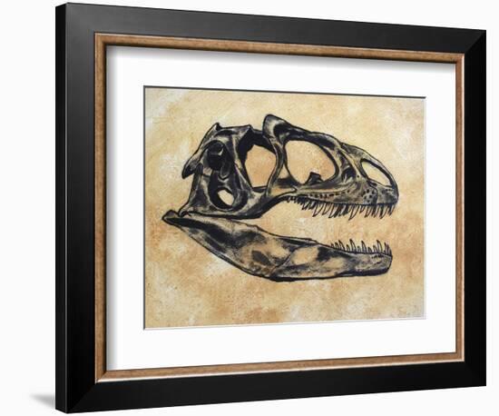 Allosaurus Dinosaur Skull-Stocktrek Images-Framed Premium Giclee Print