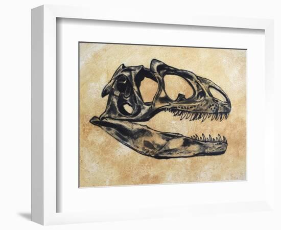 Allosaurus Dinosaur Skull-Stocktrek Images-Framed Premium Giclee Print