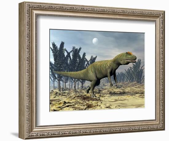 Allosaurus Dinosaur Walking Amongst Pachypteris Trees-Stocktrek Images-Framed Premium Giclee Print