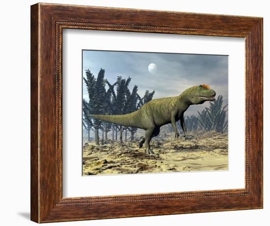 Allosaurus Dinosaur Walking Amongst Pachypteris Trees-Stocktrek Images-Framed Premium Giclee Print