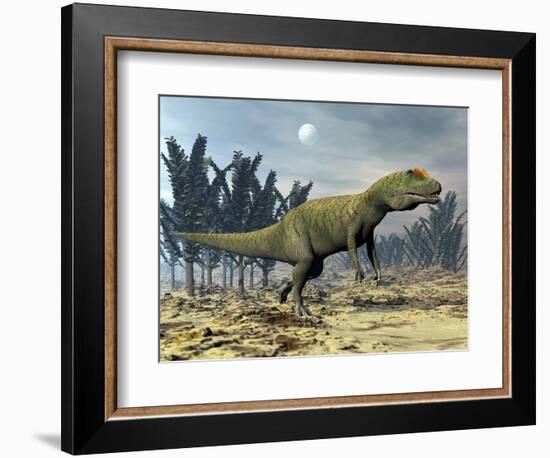 Allosaurus Dinosaur Walking Amongst Pachypteris Trees-Stocktrek Images-Framed Premium Giclee Print