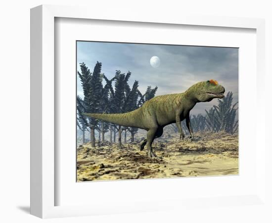 Allosaurus Dinosaur Walking Amongst Pachypteris Trees-Stocktrek Images-Framed Premium Giclee Print