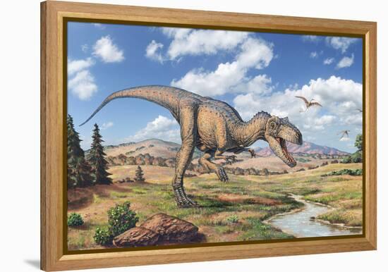 Allosaurus Dinosaur-Joe Tucciarone-Framed Premier Image Canvas