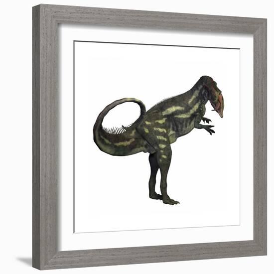 Allosaurus Dinosaur-Stocktrek Images-Framed Premium Giclee Print