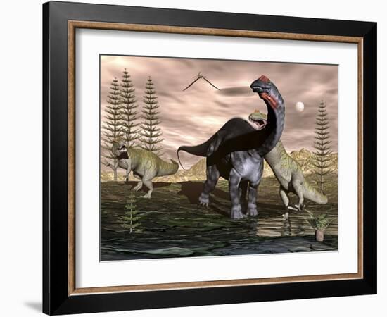 Allosaurus Dinosaurs Attacking an Apatosaurus-Stocktrek Images-Framed Art Print