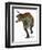 Allosaurus-Tim Knepp-Framed Giclee Print