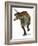 Allosaurus-Tim Knepp-Framed Giclee Print