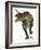 Allosaurus-Tim Knepp-Framed Giclee Print