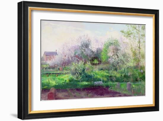 Allotment Stalker, 1991-Timothy Easton-Framed Giclee Print