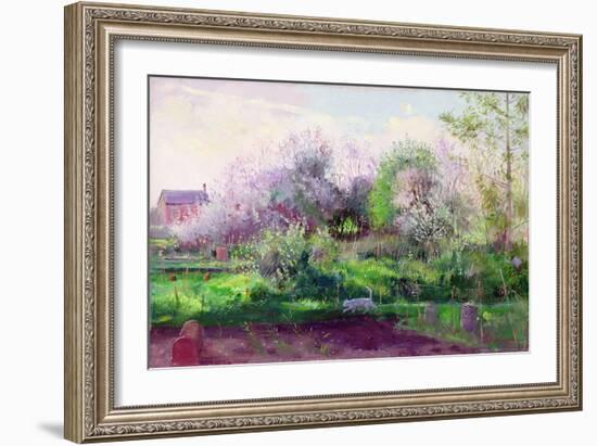 Allotment Stalker-Timothy Easton-Framed Giclee Print