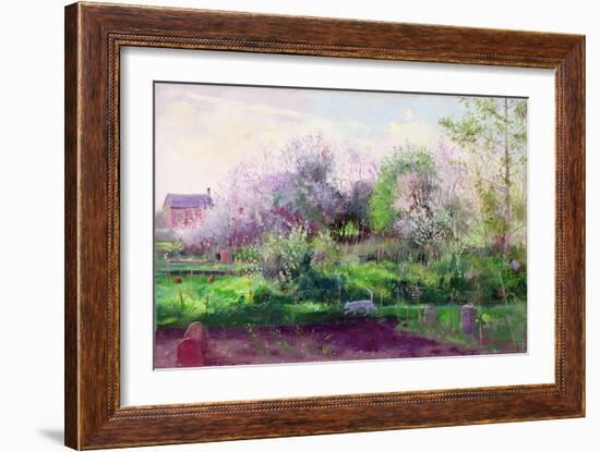 Allotment Stalker-Timothy Easton-Framed Giclee Print