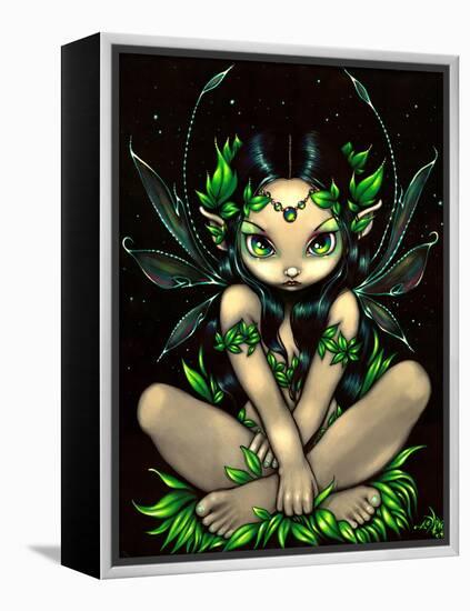 Allura Fairy-Jasmine Becket-Griffith-Framed Stretched Canvas