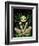 Allura Fairy-Jasmine Becket-Griffith-Framed Art Print