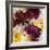 Allure III-Rikki Drotar-Framed Giclee Print