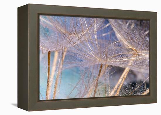 Allure-Marco Carmassi-Framed Premier Image Canvas