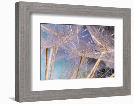 Allure-Marco Carmassi-Framed Photographic Print