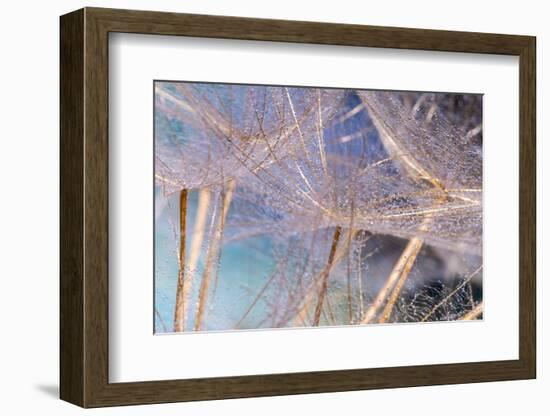 Allure-Marco Carmassi-Framed Photographic Print