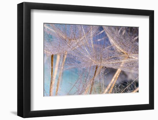 Allure-Marco Carmassi-Framed Photographic Print