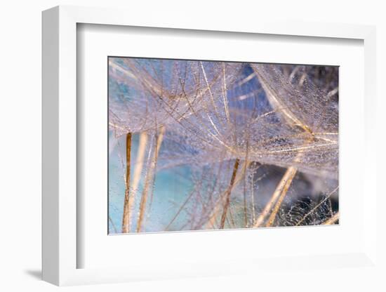 Allure-Marco Carmassi-Framed Photographic Print