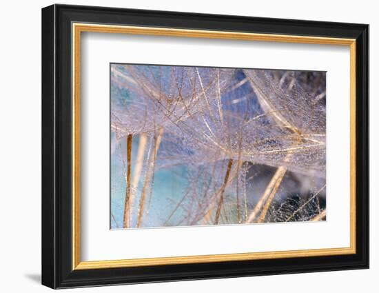 Allure-Marco Carmassi-Framed Photographic Print