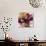 Alluring Blossom I-Rikki Drotar-Giclee Print displayed on a wall
