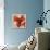 Alluring Blossom III-Rikki Drotar-Framed Premier Image Canvas displayed on a wall