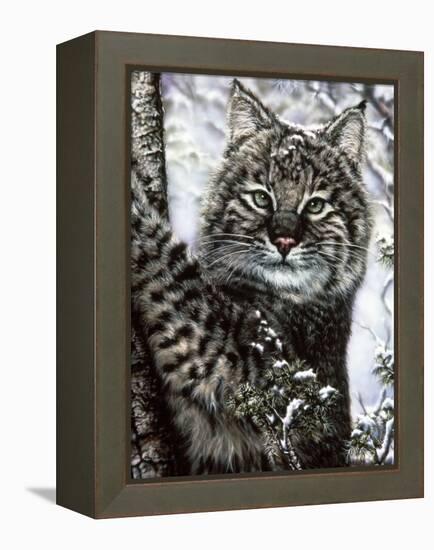 Alluring Eyes-Jenny Newland-Framed Premier Image Canvas