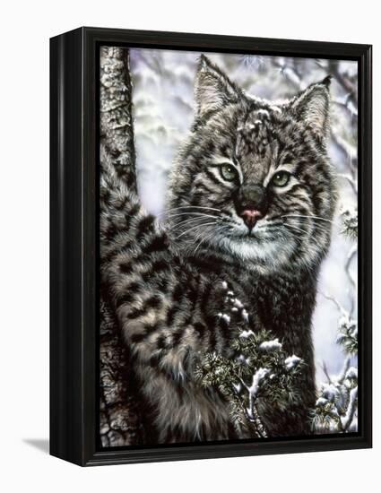 Alluring Eyes-Jenny Newland-Framed Premier Image Canvas