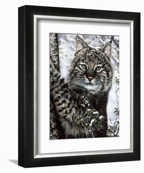 Alluring Eyes-Jenny Newland-Framed Giclee Print